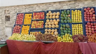 اليوم.. بدء تشغيل منفذ خضار وفاكهة بسعر الجملة في بولاق الدكرور