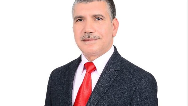 محمود المنسى 