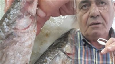 الفسيخ بـ 120 جنيه.. أشهر فسخاني بالغربية يكشف طرق التعرف على السمك الفاسد | فيديو