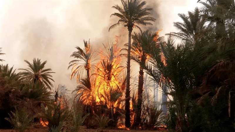 حرائق واحات المغرب