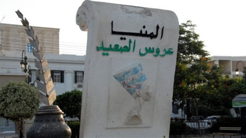 محافظ المنيا 