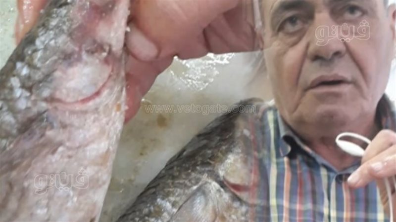 فيتو تحاور أقدم فسخاني