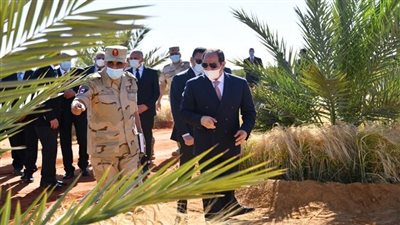  20 صورة ترصد بدء موسم حصاد القمح بالأراضي الزراعية في توشكى