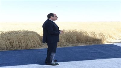 السيسي يقود تدعيم ملف الأمن الغذائي وتحقيق التنمية المستدامة.. مشروعات قومية وأهداف استراتيجية.. تحقق طفرة زراعية وتوفير الآلاف من فرص العمل