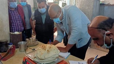 حملة مكبرة لضبط الأسواق والأسعار في الإسكندرية