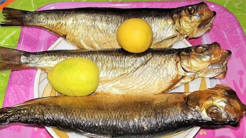 أسعار الرنجة المدخنة