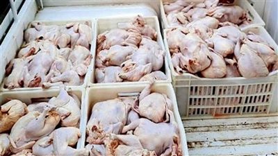 بشرى سارة من التموين بشأن أسعار الدواجن الفترة المقبلة.. وصول شحنة برازيلية غدًا