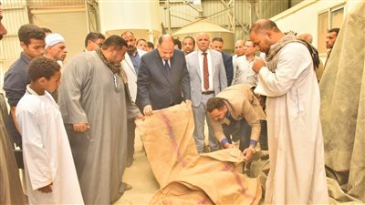 توريد 50 طنا و693 كيلو قمح لـ 30 صومعة وهنجر وشونة بأسيوط 