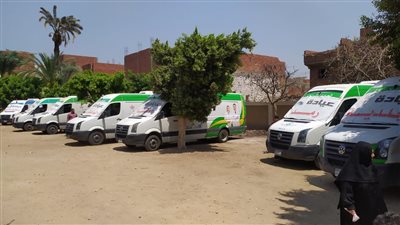 الكشف على 1516 مريضا في قافلة طبية بالدقهلية 