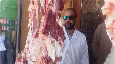 ضبط 137 كيلو لحوم وأسماك فاسدة بأسوان