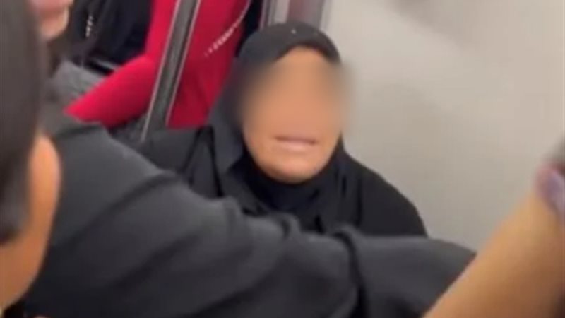 فيديو سيدة المترو