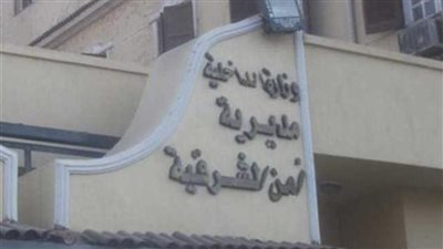 جروح وتورم بجسدها.. تفاصيل اتهام أم بتعذيب ابنتها حتى الموت في الشرقية