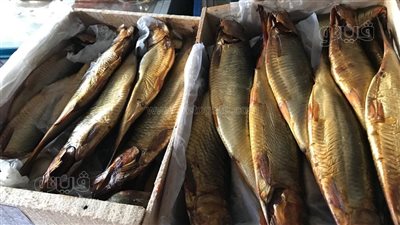 قبل شم النسيم.. نصائح لشراء الرنجة والفسيخ من المحلات | فيديو 