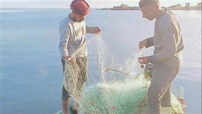 انطلاق موسم الصيد ببحيرة البردويل بعد توقف 4 أشهر 