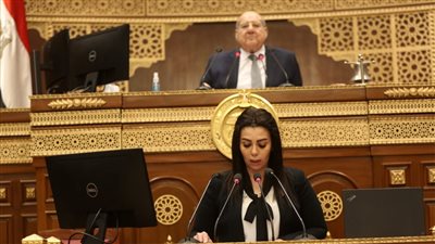 مجلس الشيوخ يفتح ملف أموال الجمعيات الأهلية.. نائبة تكشف حجم التبرعات من الداخل والخارج.. ومطالب بجهاز رقابي على غرار المركزي للمحاسبات