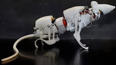 SQuRo.. فأر روبوت مصمم للاستخدام في مهام البحث والإنقاذ