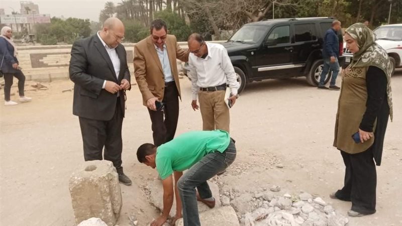 ناىب الجيزة يعاين