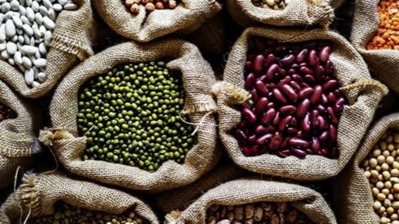 أسعار البقوليات اليوم