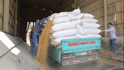 تموين شرق بالإسكندرية تضبط أعلافا مجهولة المصدر