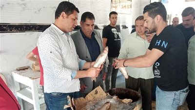 قبل شم النسيم.. رئيس مدينة نبروة يشن حملة مكبرة علي محلات الفسيخ | صور 