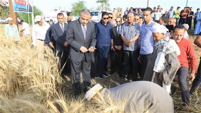 محافظ سوهاج يشهد بدء موسم حصاد القمح | صور