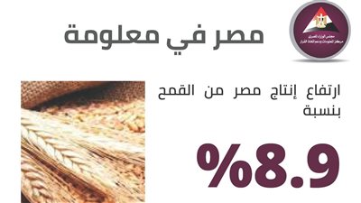 معلومات الوزراء: ارتفاع إنتاج مصر من القمح بنسبة 8.9% 