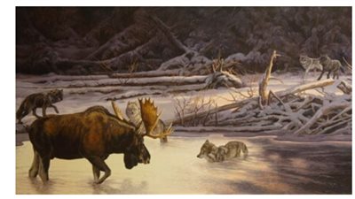 حكاية جزيرة أمريكية يسكنها الذئاب والأيائل