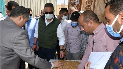 تموين الفيوم: الشون والصوامع تسلمت 911 طن قمح بعد افتتاح موسم الحصاد اليوم