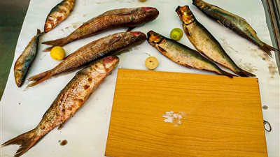 القومي للبحوث يوضح مخاطر تناول الرنجة والفسيخ في شم النسيم (فيديو)