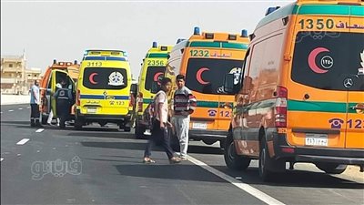 مصرع 3 وإصابة 11 آخرين في حادث تصادم بالإسماعيلية | صور 