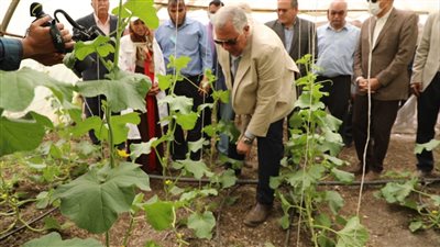 وزير الزراعة ومحافظ القليوبية يتفقدان صوب المشروع القومي بقها| صور