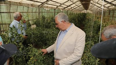 وزير الزراعة: ننتج 98% من تقاوي المحاصيل الحقلية 