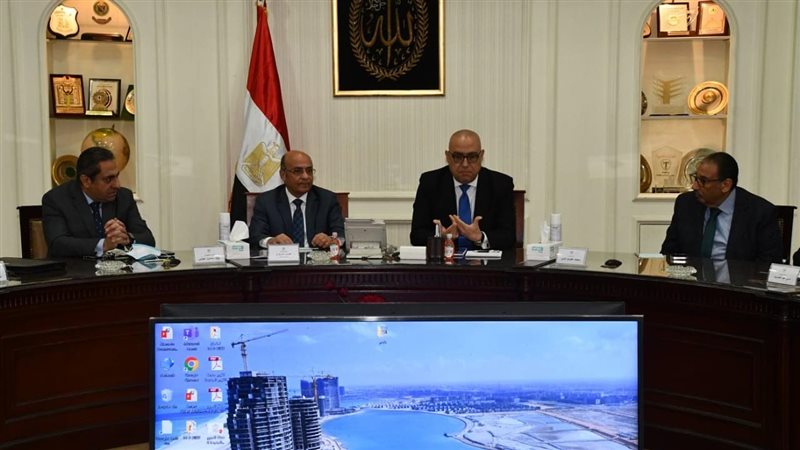 وزير الاسكان والعدل
