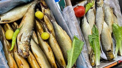 في شم النسيم، الصحة تكشف مدة ظهور أعراض التسمم بعد تناول الأسماك المملحة