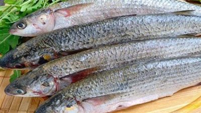  ٨ نصائح لتناول الرنجة والفسيخ على الإفطار اليوم