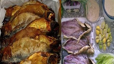 هل يمكن الإفطار على فسيخ ورنجة في رمضان؟.. أخصائي يجيب