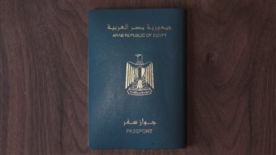 تعرف على الحقوق التي كفلها القانون لرعاية المصريين بالخارج