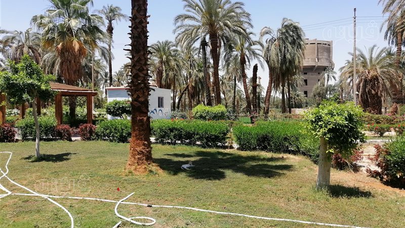 حديقة المعنا بقنا