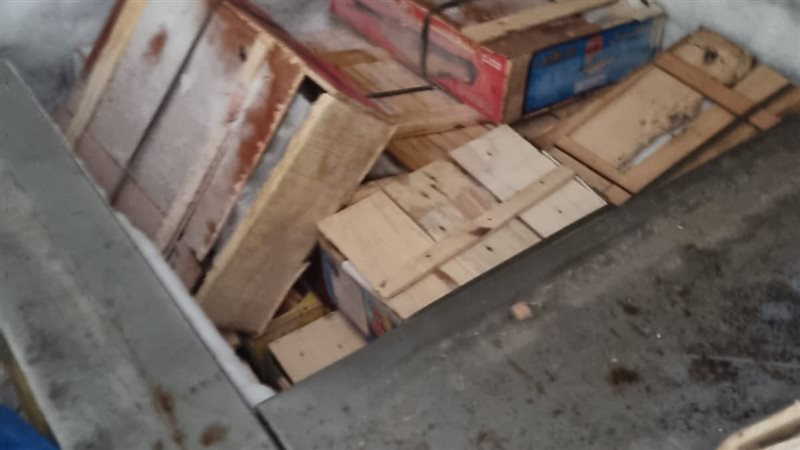 تموين العجمى تضبط