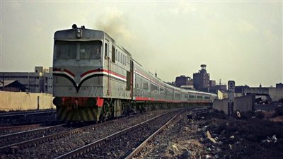 سقوط نخلتين يتسبب في تعطل حركة القطارات ببني سويف