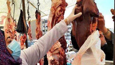 بيطري الشرقية: ضبط 10 أطنان لحوم وأسماك فاسدة ومجهولة المصدر 