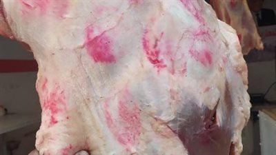 ضبط لحوم مجهولة المصدر ومذبوحة خارج السلخانة في الشرقية 