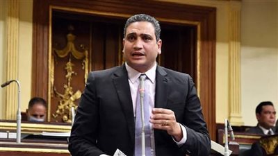 عضو التنسيقية: السيسي يعلي قيم المواطنة والتعايش بين عنصري الأمة 