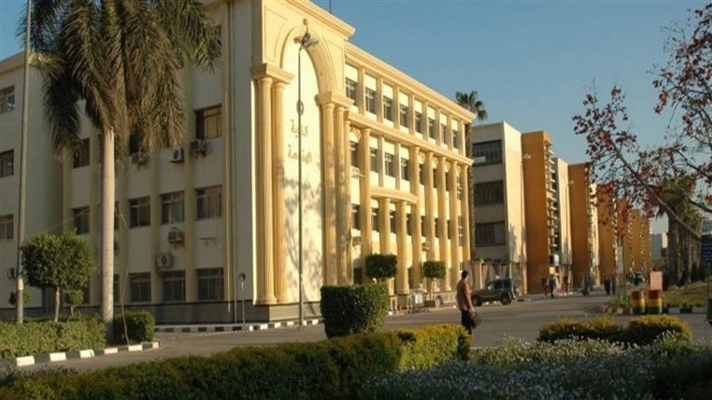 جامعة المنصورة 