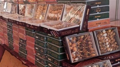 تجهيز وافتتاح 8 معارض 