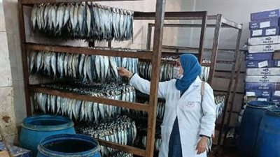 بيطري الشرقية يضبط كمية من الأسماك واللحوم المخالفة 