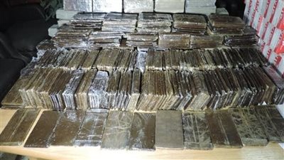 حبس عنصر إجرامي حاول ترويج كمية لمخدر الحشيش بقيمة 1.8 مليون جنيه بالإسكندرية