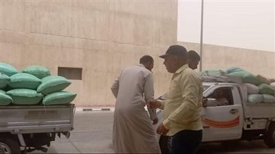 استمرار  تدفق الذهب الأصفر على صوامع القنطرة شرق الإسماعيلية | صور