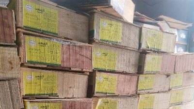 تحرير 4 محاضر لمحلات بيع الأسماك والمخابز بالحسينية في الشرقية 