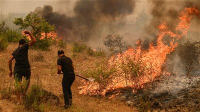 بسبب موجة حارة.. حرائق غابات وانقطاع الكهرباء عن الملايين في جنوب آسيا 